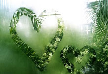 卢森堡选手实现梦想夺得荣耀