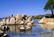 意甲联赛战绩争夺激烈，积分榜上下交锋